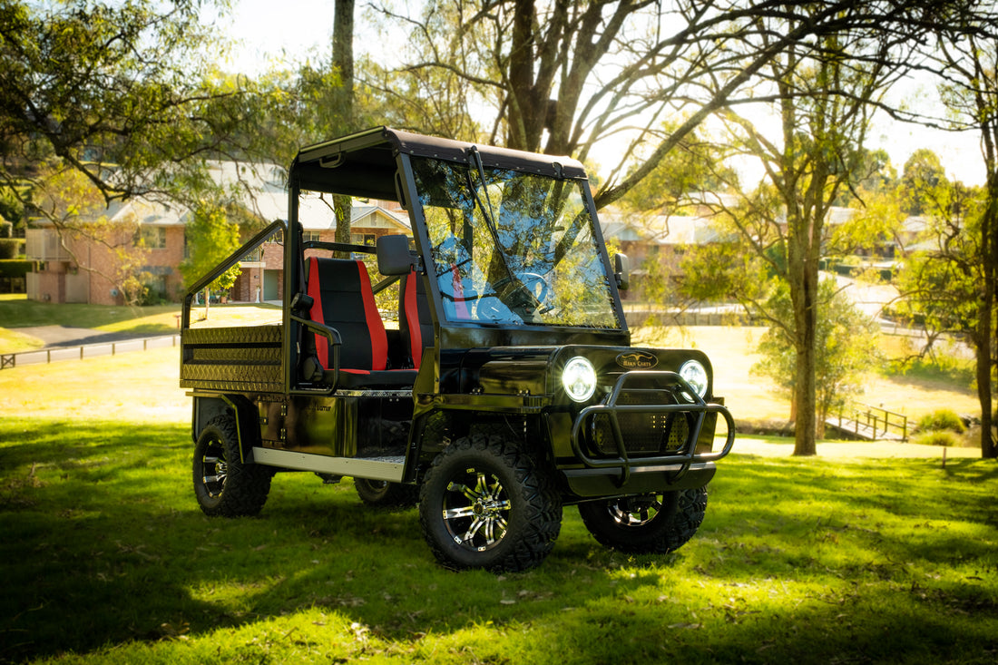 Hawk Cart Hawk Carts EV | Eco-Friendly Electric UTVs, Linen & Golf Carts