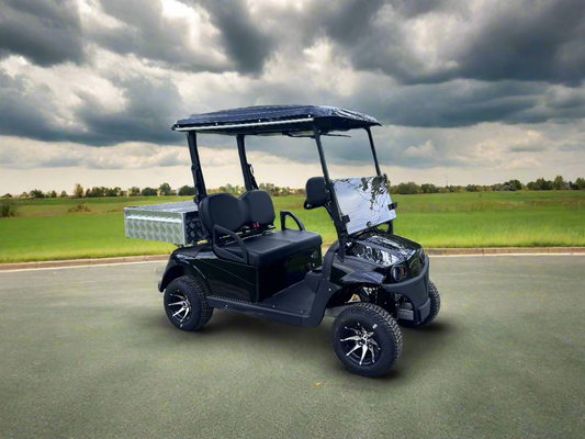 Golf Cart Electric 2 seat Utility 100Ah Lithium