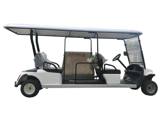 6-Seat Accessibility Electric Vehicle