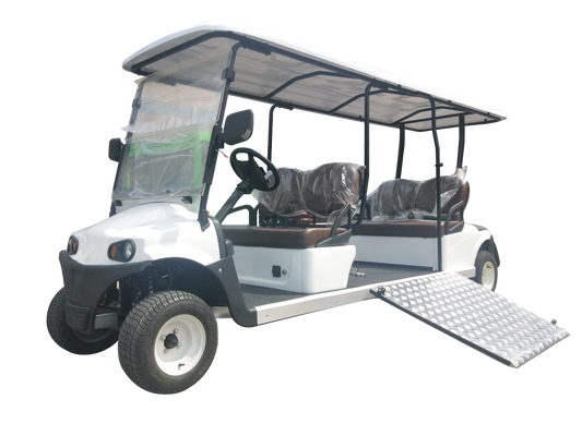 6-Seat Accessibility Electric Vehicle